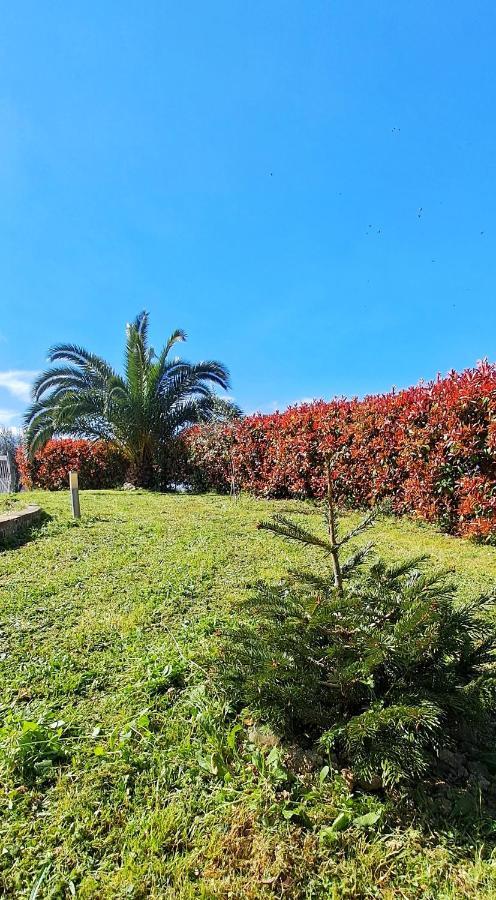 Bed and Breakfast La Bella Addormentata Chieti Exterior foto
